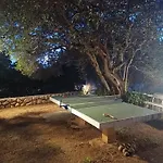 House Olive Tree - With Sea View Appartamento Barbat na Rabu
