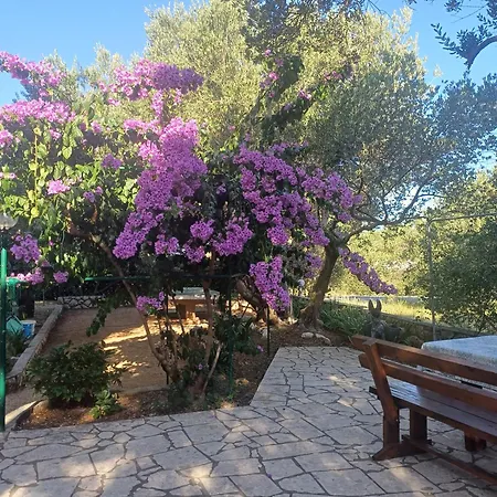 House Olive Tree - With Sea View * Barbat na Rabu